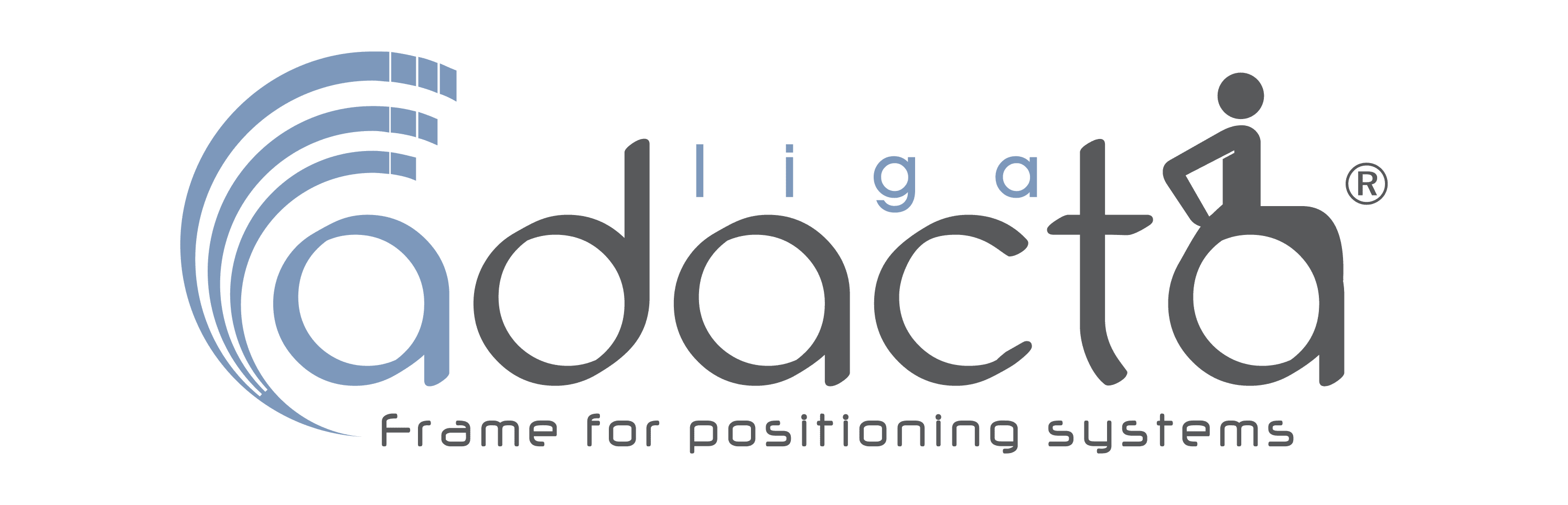 Logo Adacta Liga