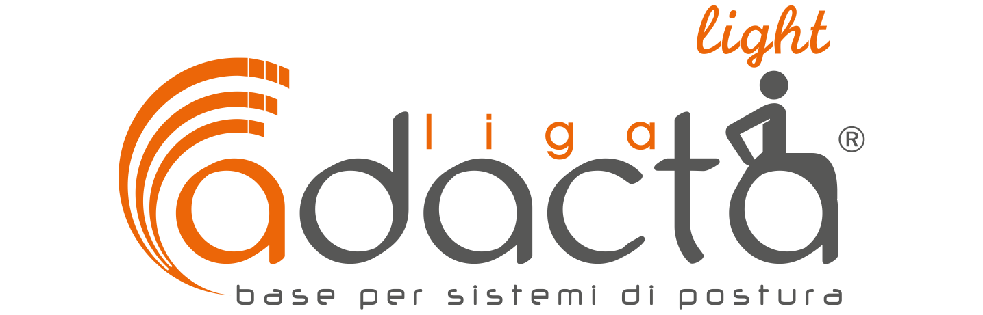 Logo Adacta Liga Light